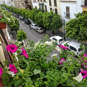  Apartamento El Capricho De San Fernando, Consigna Gratis Y Parking A 200mts España